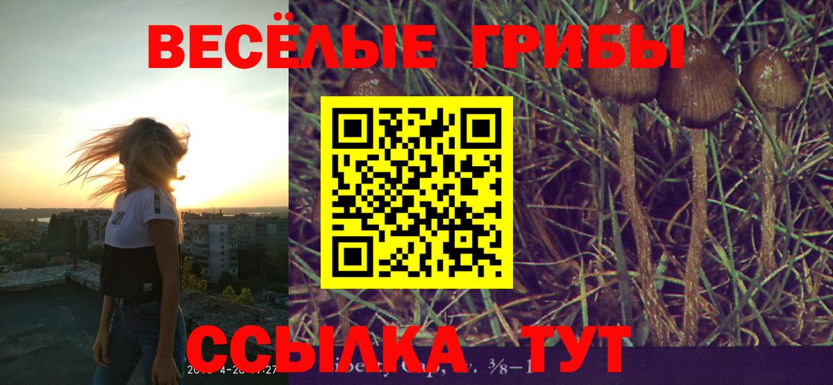 Таганрог  Галлюциногенные грибы Magic Shrooms  Вход с VPN  Псилоцибиновые грибы Magic Shrooms 