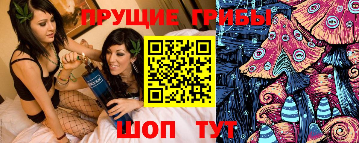 Галлюциногенные грибы Psilocybe Таганрог